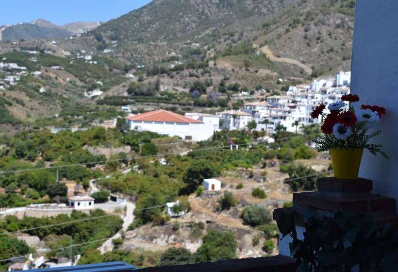 Olivo 15e Terraza Y Vistas