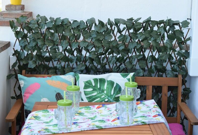 Olivo 15e Terraza Y Vistas