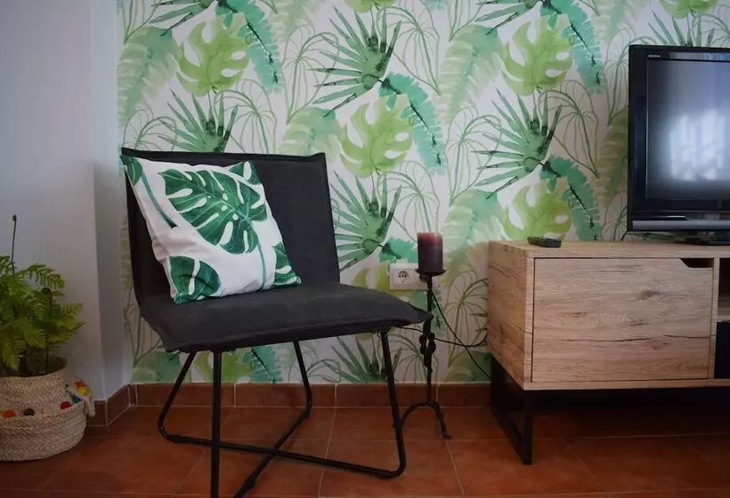 Olivo 15e   Terraza Y Vistas