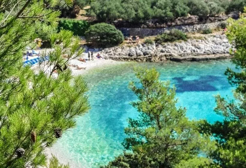 ペンション Harmony Room Hvar