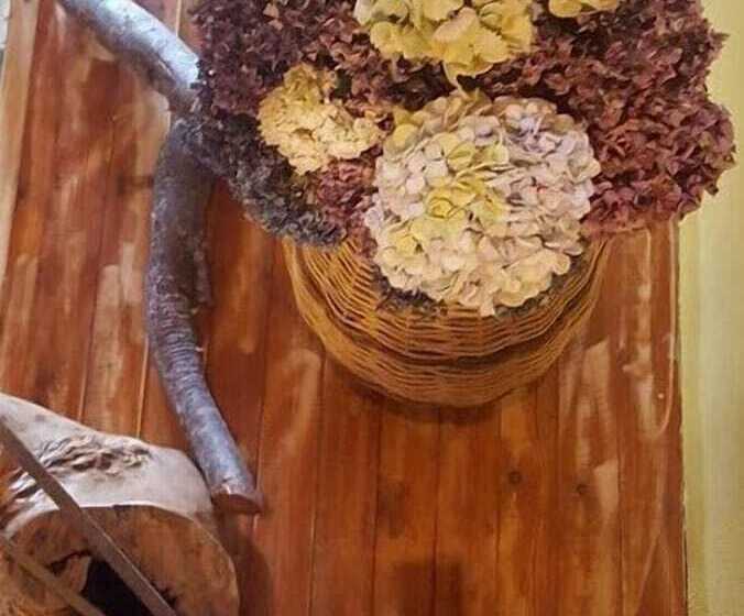 Victoria S Country Apartments