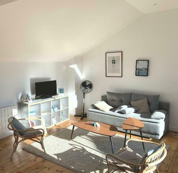 Grande Maison Vichy Maison Ou Appartements En Centre Ville