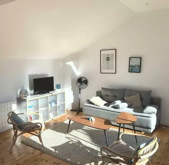 Grande Maison Vichy   Maison Ou Appartements En Centre Ville