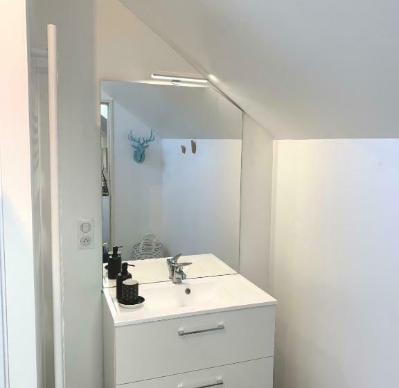 Grande Maison Vichy Maison Ou Appartements En Centre Ville