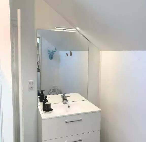 Grande Maison Vichy   Maison Ou Appartements En Centre Ville