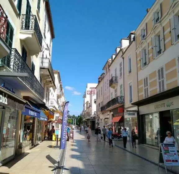 Grande Maison Vichy   Maison Ou Appartements En Centre Ville