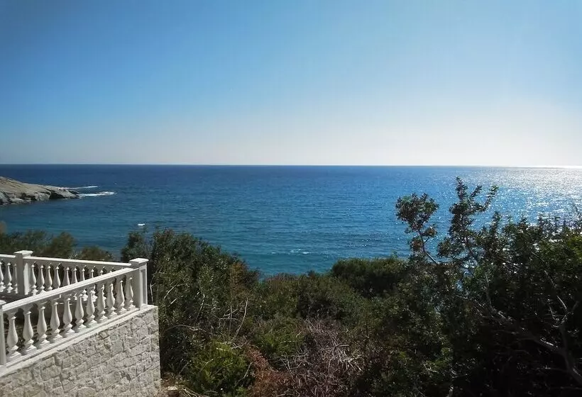 New Aurora Apts Studios