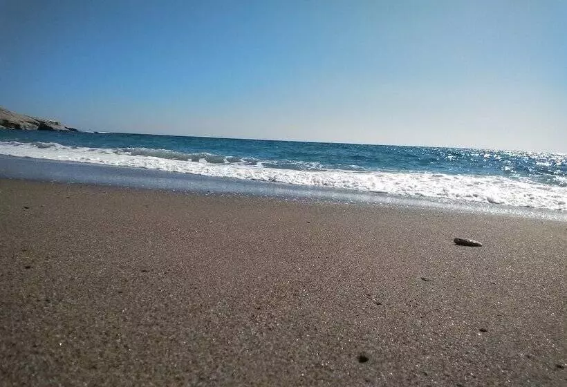 New Aurora Apts Studios