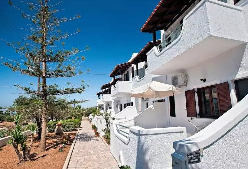 New Aurora Apts Studios