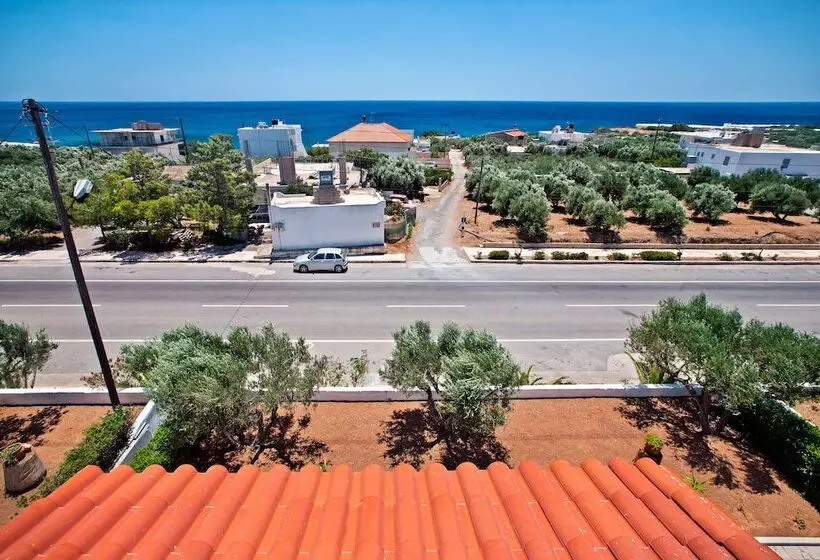 New Aurora Apts Studios