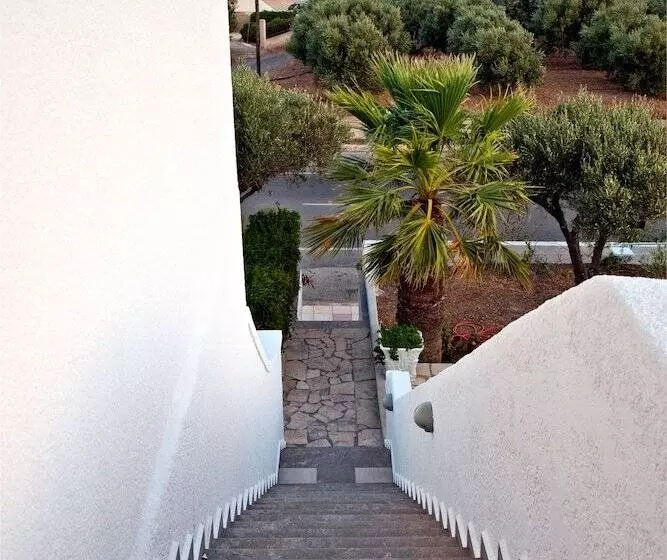 New Aurora Apts Studios