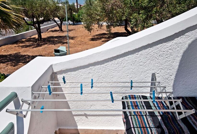 New Aurora Apts Studios