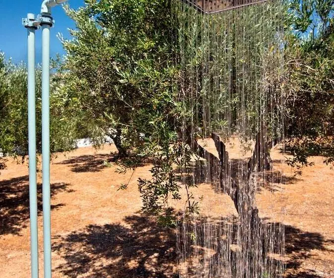 New Aurora Apts Studios