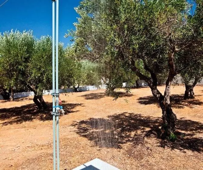 New Aurora Apts Studios