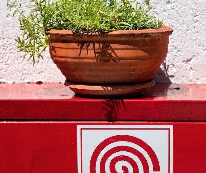 New Aurora Apts Studios