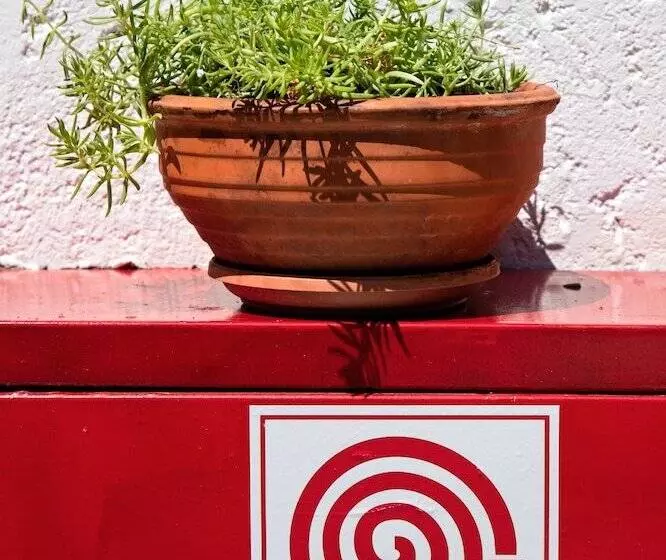 New Aurora Apts Studios