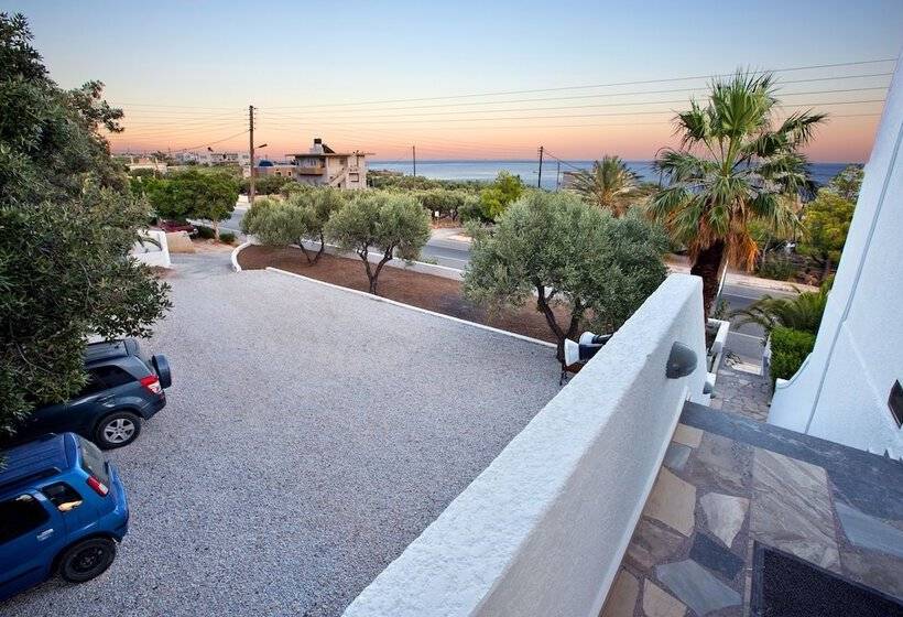 New Aurora Apts Studios