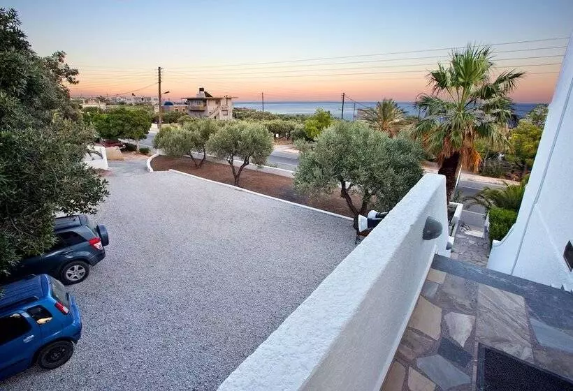 New Aurora Apts Studios