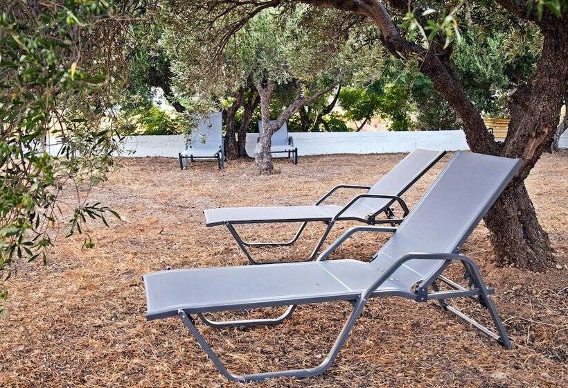 New Aurora Apts Studios