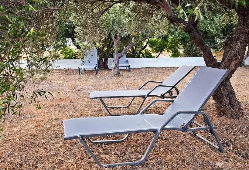 New Aurora Apts Studios