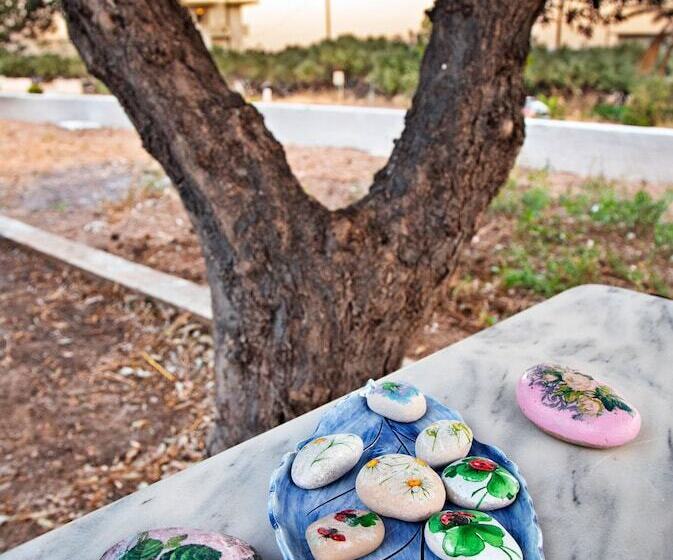 New Aurora Apts Studios