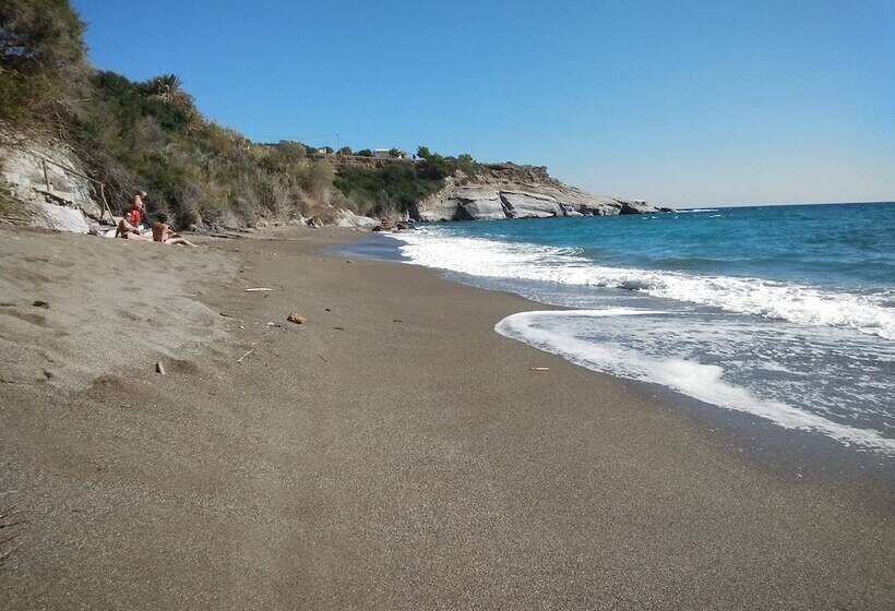 New Aurora Apts Studios