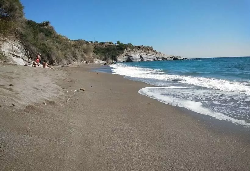 New Aurora Apts Studios