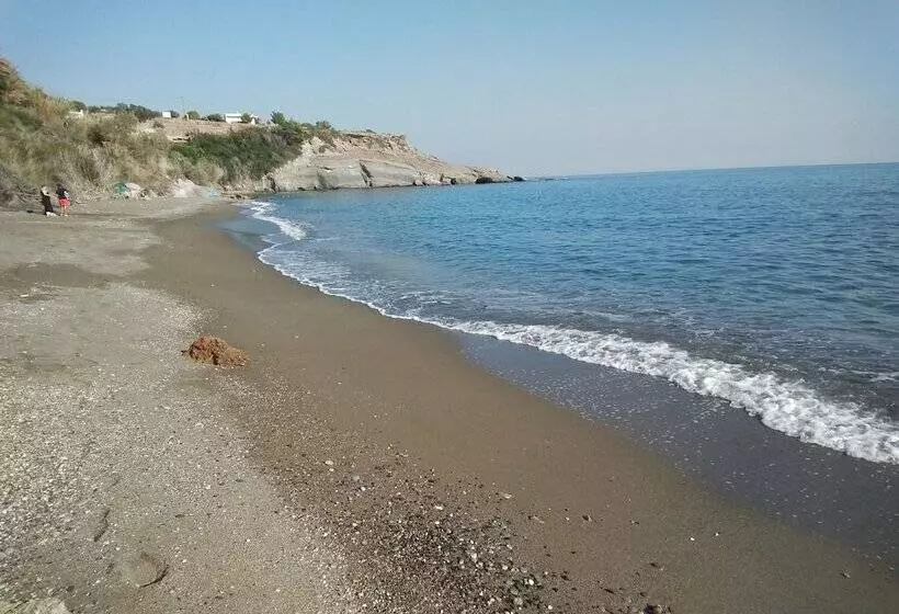 New Aurora Apts Studios