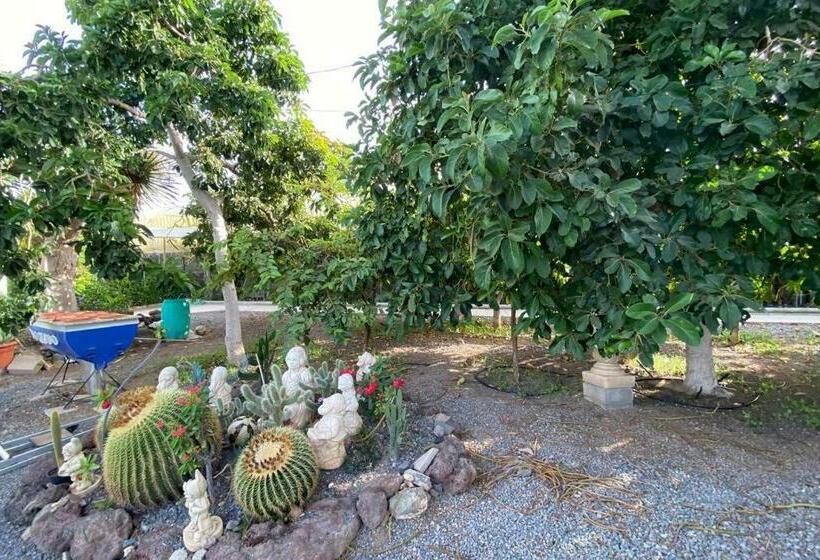 2 Apartments With Private Pool At Villa Diaz Aleman