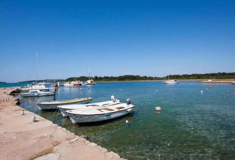 Apartments Grivičić