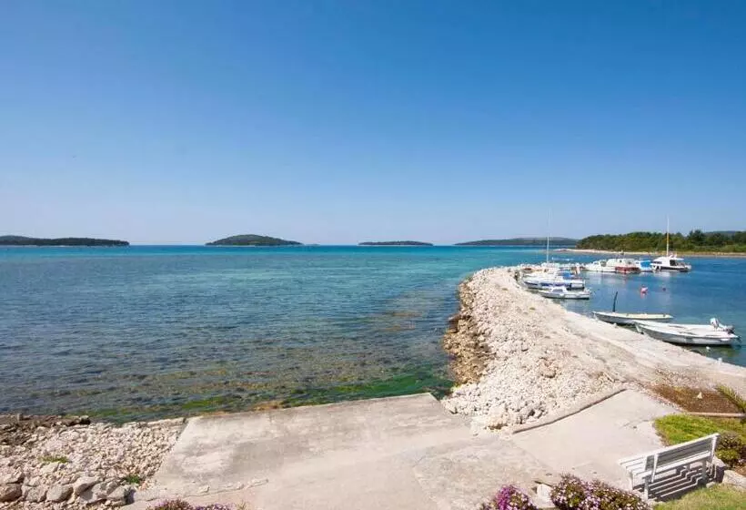 Apartments Grivičić