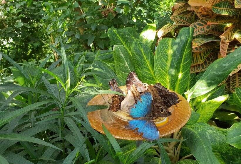 Lakeside Smoker Apartment Fdh