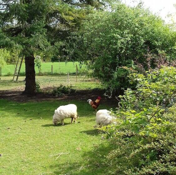 호텔 La Roulotte De L Albizia