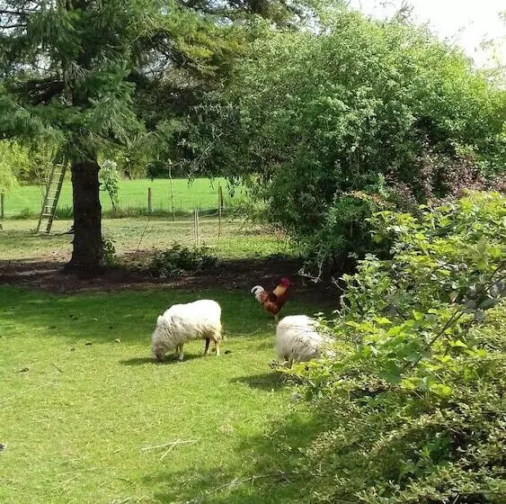 ホテル La Roulotte De L Albizia