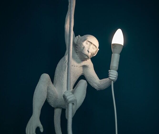 Urbn Dreams Into The Wild