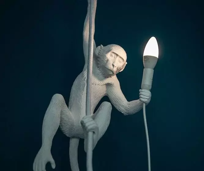 Urbn Dreams   Into The Wild