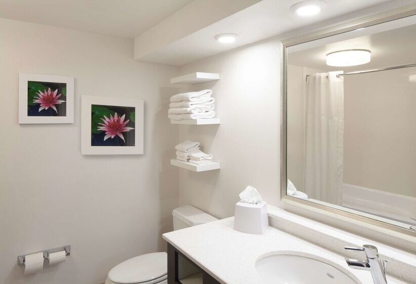 هتل Hampton Inn Charlestonsouthridge