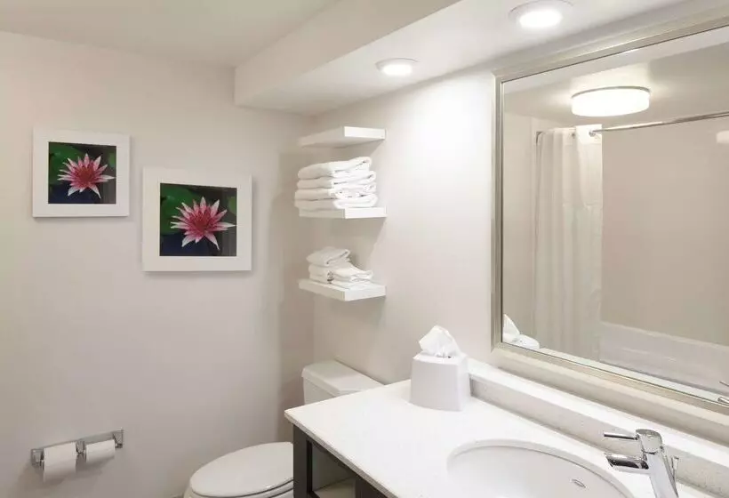 ホテル Hampton Inn Charlestonsouthridge