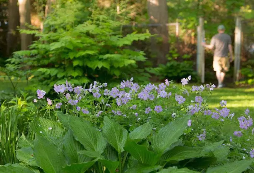 Отель Hawthorn Inn