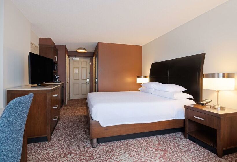 فندق Hilton Garden Inn Chicago Downtown/magnificent Mile