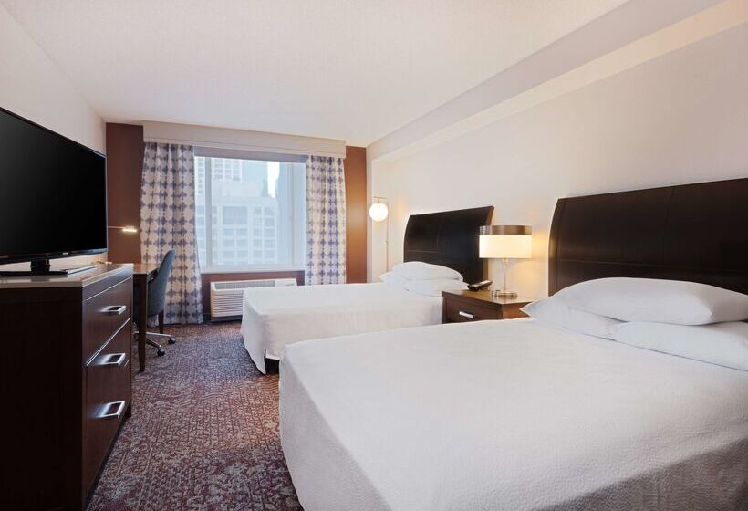 فندق Hilton Garden Inn Chicago Downtown/magnificent Mile