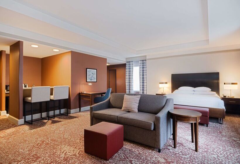 فندق Hilton Garden Inn Chicago Downtown/magnificent Mile