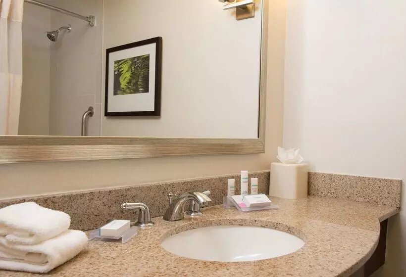 ホテル Hilton Garden Inn Lexington Hamburg