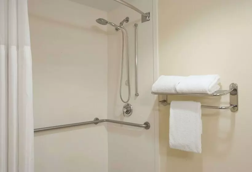 Hotel Hilton Garden Inn Orlando Airport