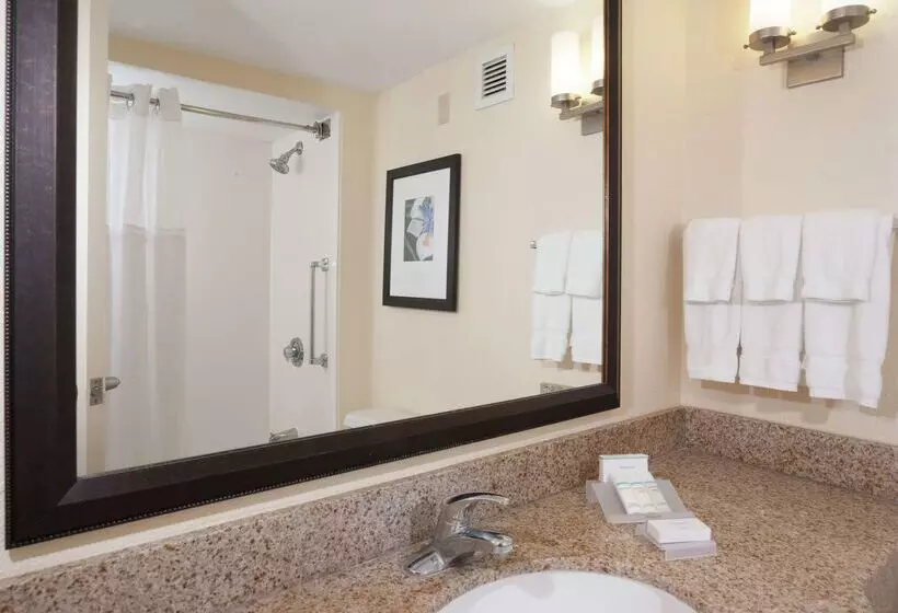 Hotel Hilton Garden Inn Orlando Airport
