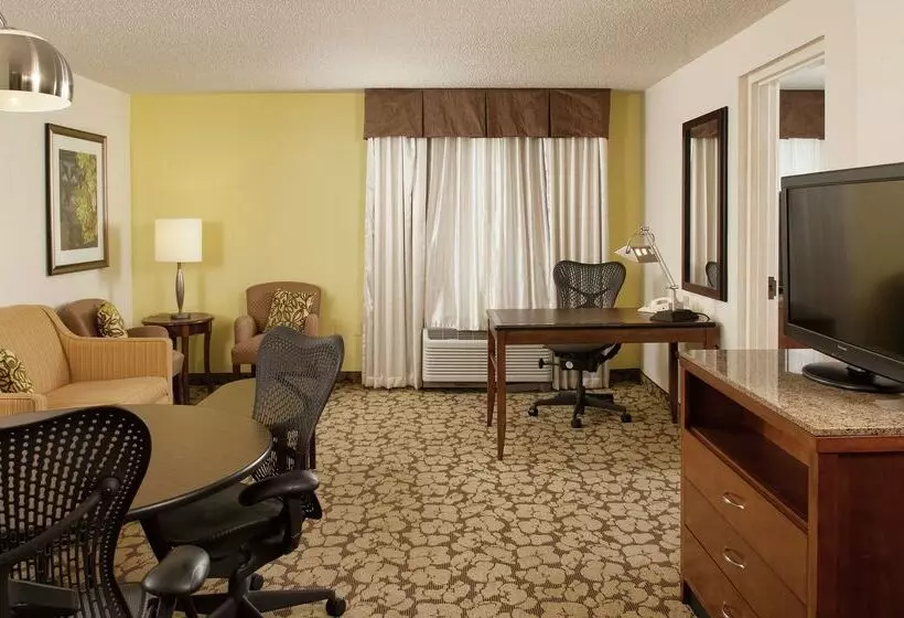 Hotel Hilton Garden Inn Orlando Airport