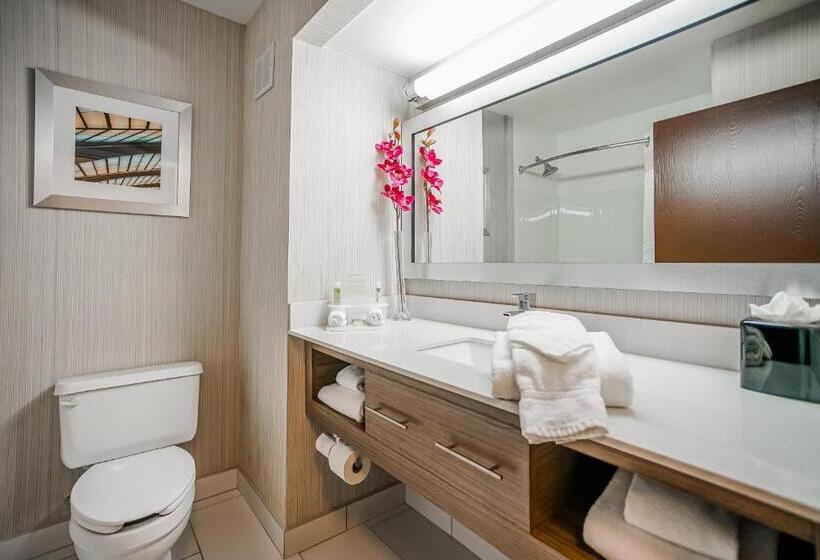 Отель Sleep Inn & Suites