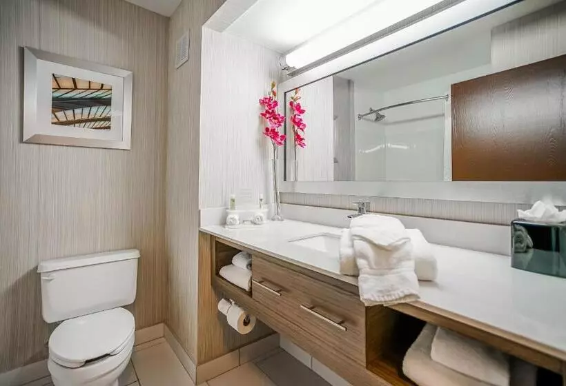 ホテル Sleep Inn & Suites