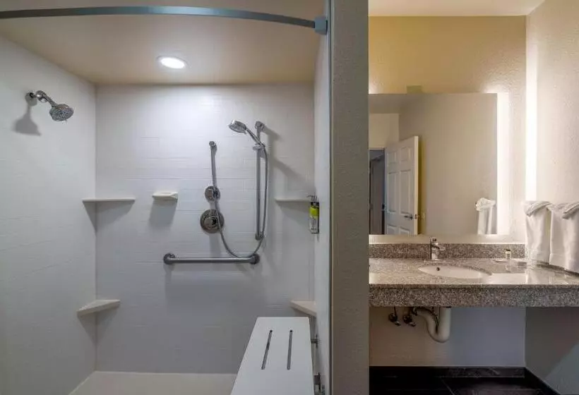 酒店 Staybridge Suites Memphis Poplar Ave East, An Ihg