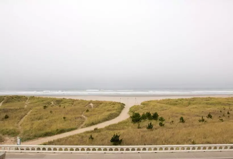 汽车旅馆 Hi Tide Oceanfront Inn